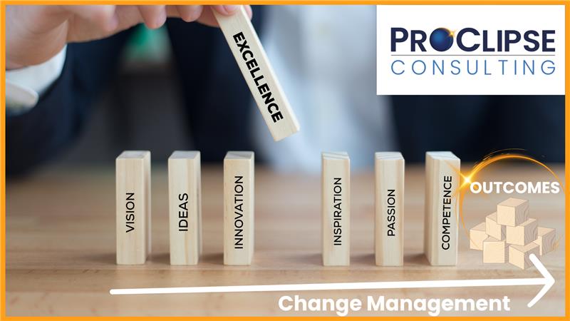 CX Innovation and Organizational Excellence.png